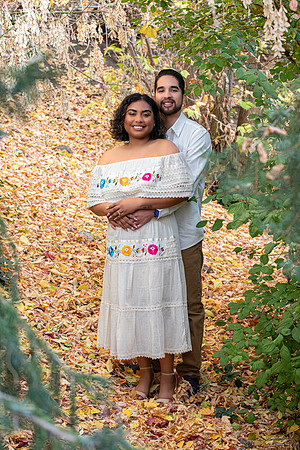 ADI&LIO-48