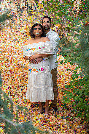 ADI&LIO-49