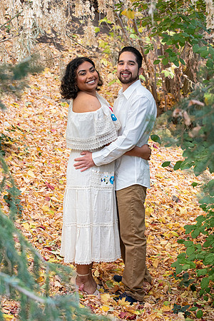 ADI&LIO-52
