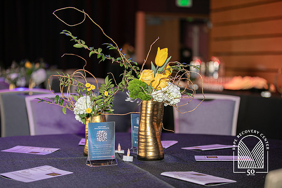 Hope&HealingGala2024-16