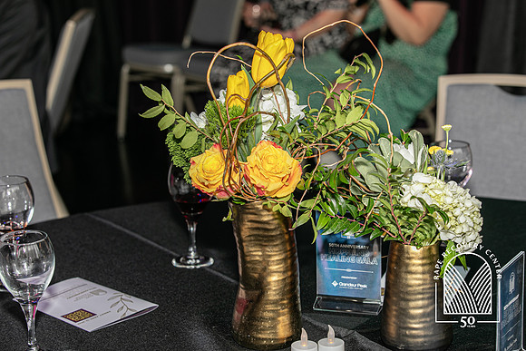 Hope&HealingGala2024-168