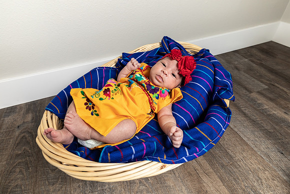 Baby Sister Session-7