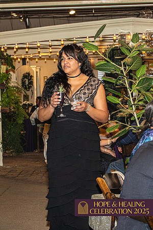 H&H Celebration 25-114
