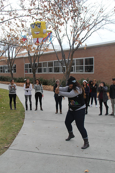 IMG_3113