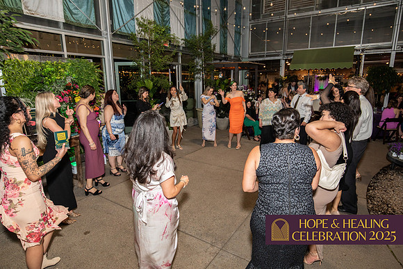 H&H Celebration 25-138